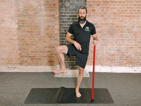 CARs 1 + KinStretch 4